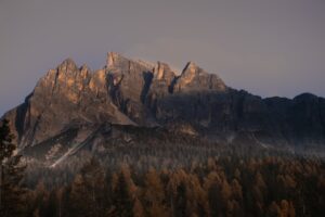 Photo by Andrei R. Popescu Majestic mountains loom above a dense forest.