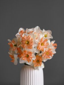 Photo by Pavlo Talpa A beautiful bouquet of orange and white daffodils.