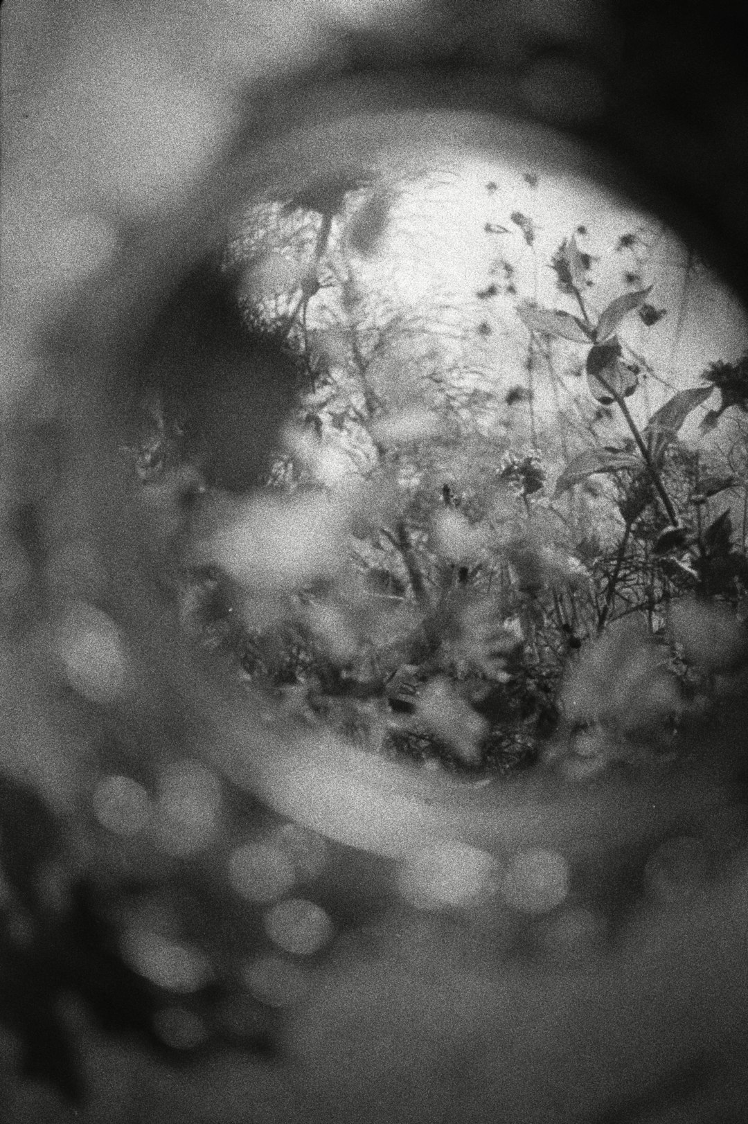 Select Dynamic field